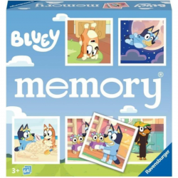 MEMORY BLUEY