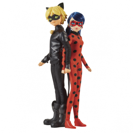 Miraculous mission accomplished ladybug & cat noir