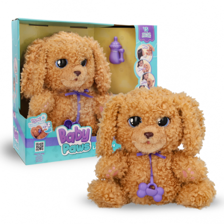 BABY PAWS LOVE & CARE LABRADOODLE