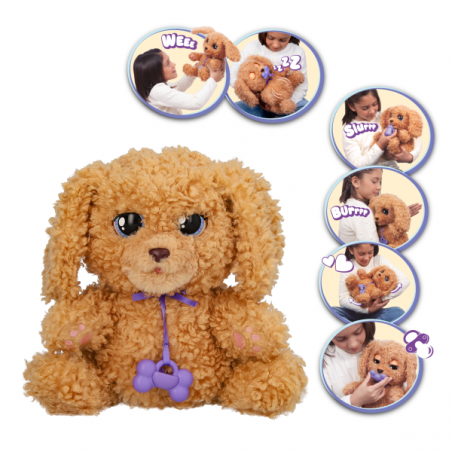 Baby paws love & care labradoodle