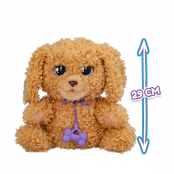 Baby paws love & care labradoodle