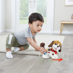 Perrito infantil de arrastre paseos y aventuras